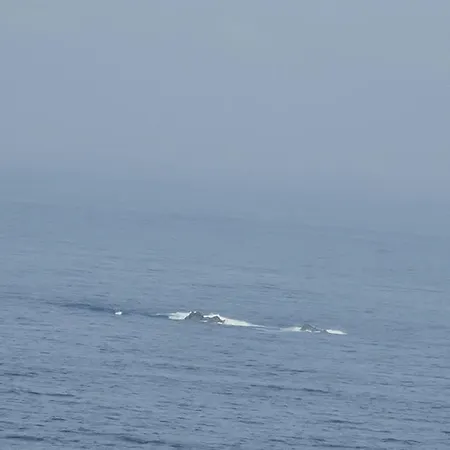 Гостевой дом Hospedaxe Don Manuel 3*